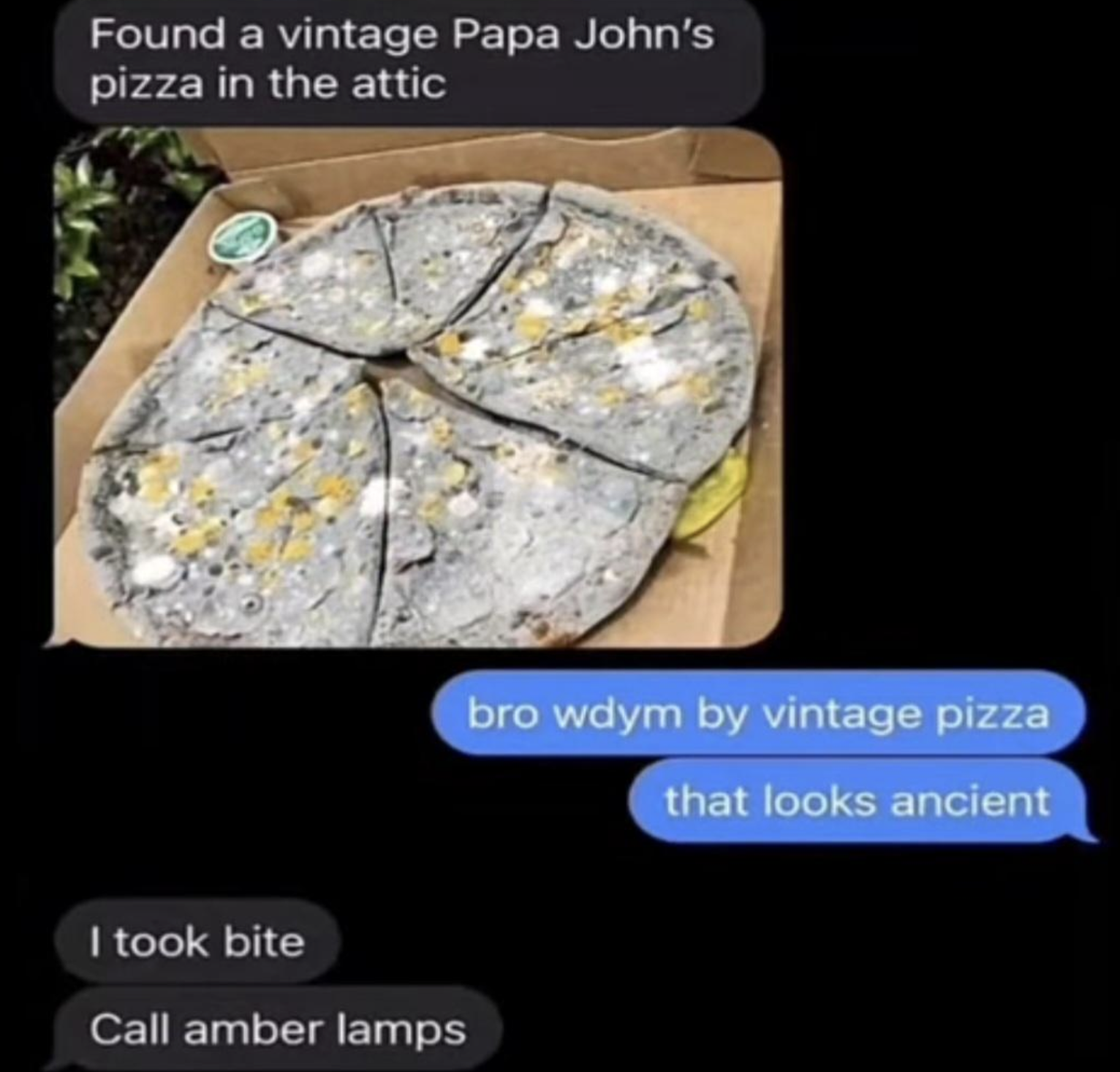 vintage papa john's pizza meme - Found a vintage Papa John's pizza in the attic I took bite Call amber lamps bro wdym by vintage pizza that looks ancient